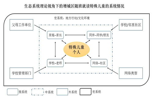 社会工作在特殊儿童随班就读服务系统的实践探索与信息系统运行维护服务